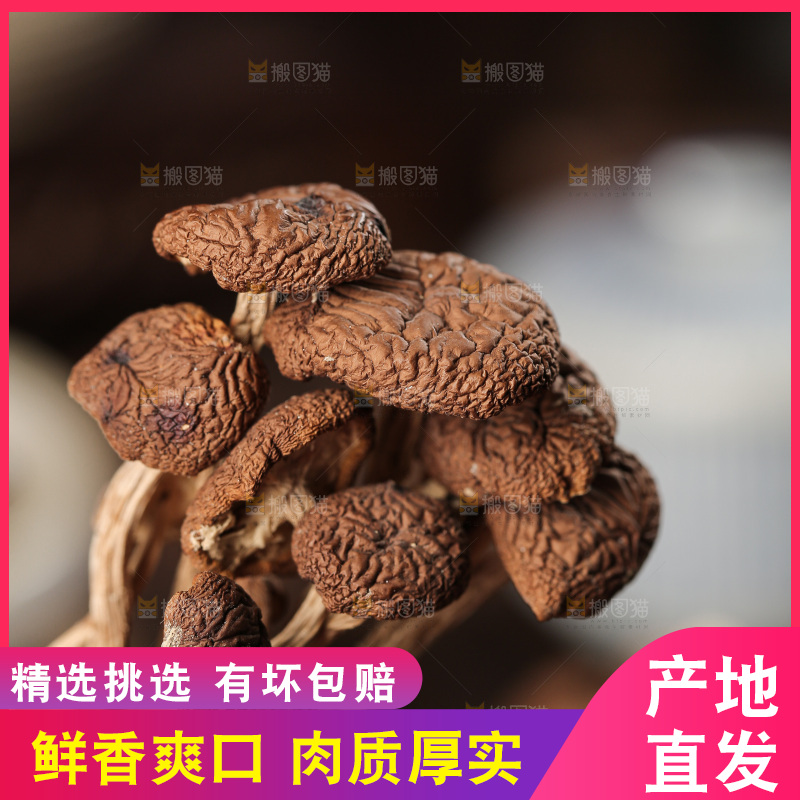 深底上的鹿茸菇