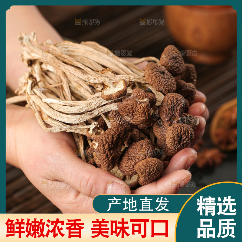 深底上的鹿茸菇