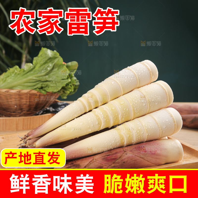 深底的雷竹笋