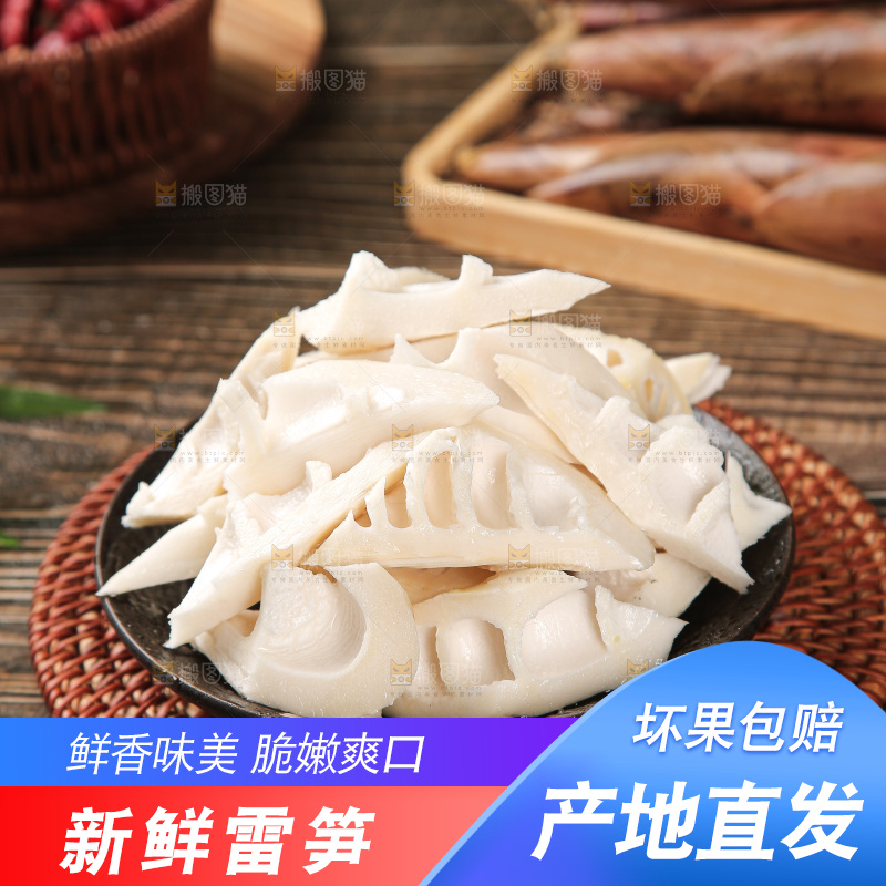 深底的雷竹笋