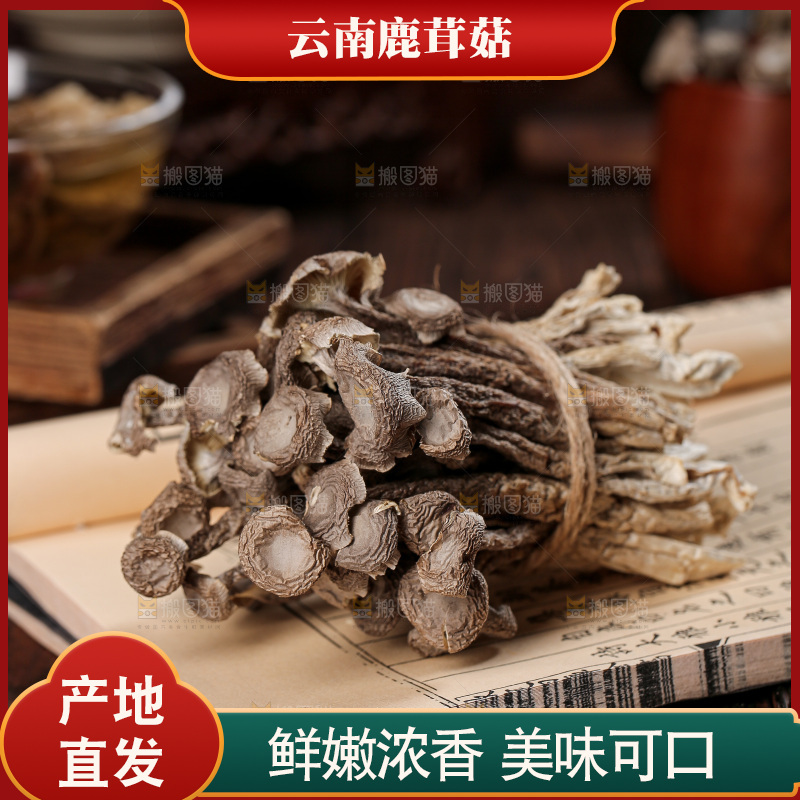 深底上的鹿茸菇