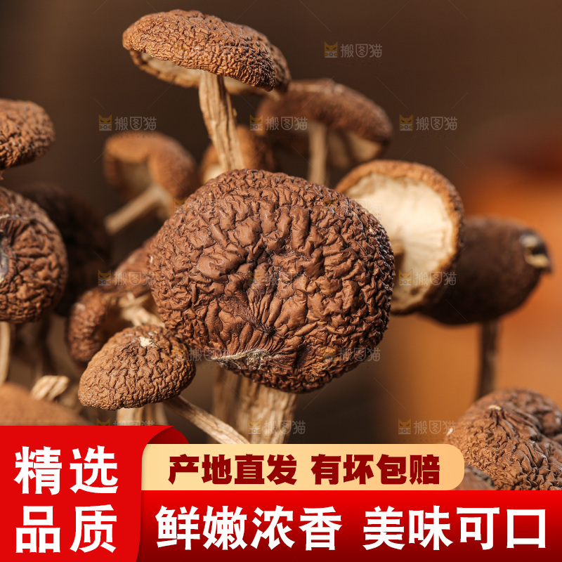 深底上的鹿茸菇