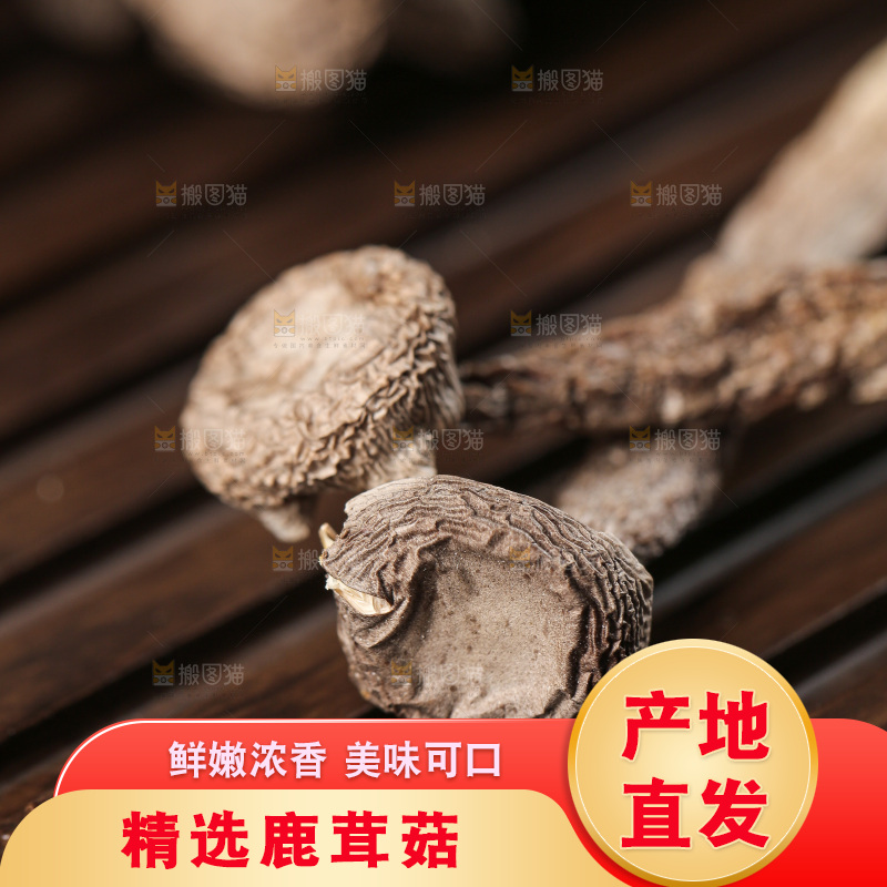 深底上的鹿茸菇