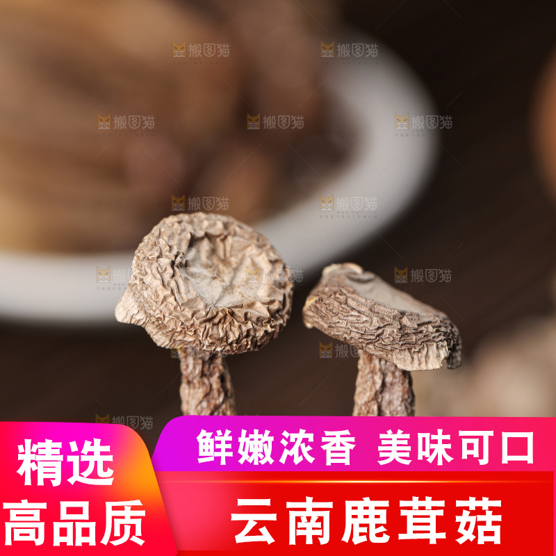 深底上的鹿茸菇