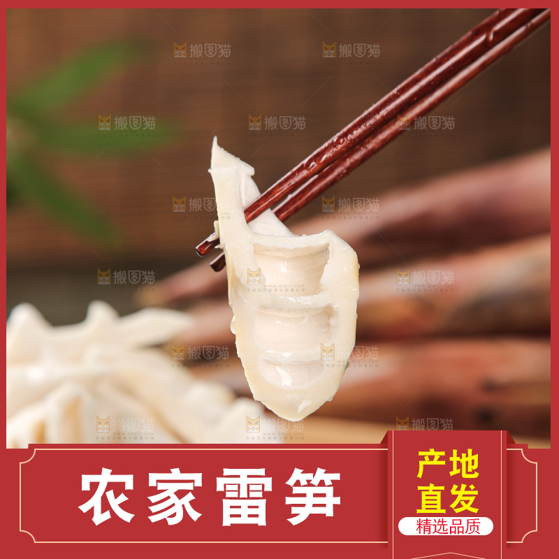 深底的雷竹笋