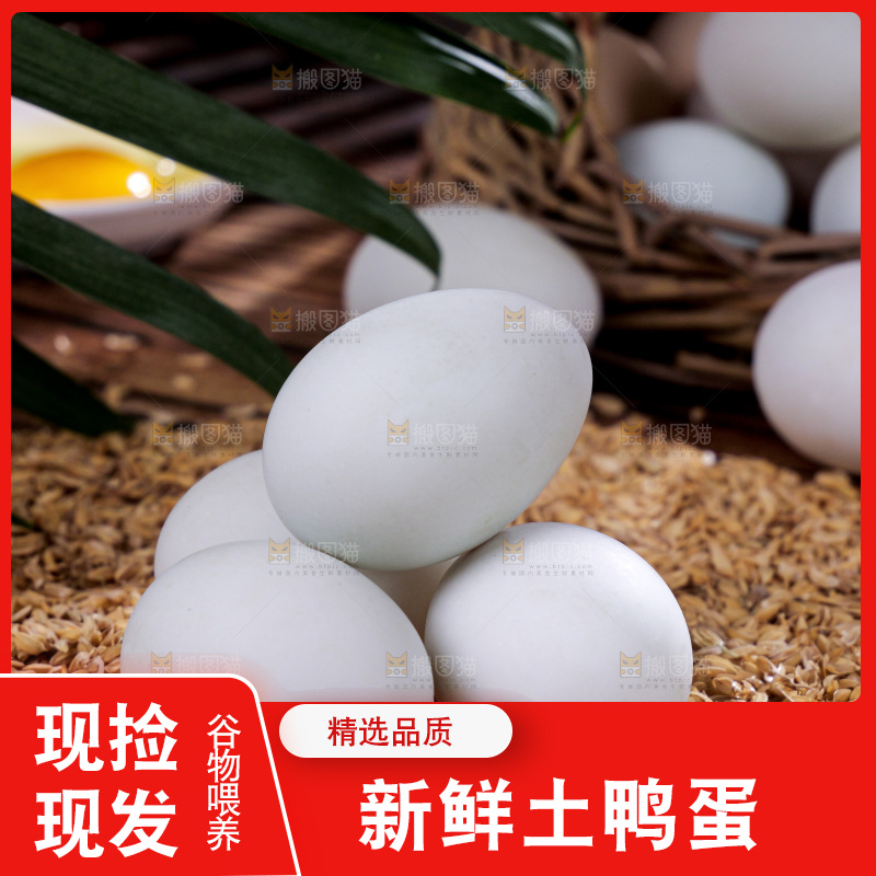 深底上的鸭蛋