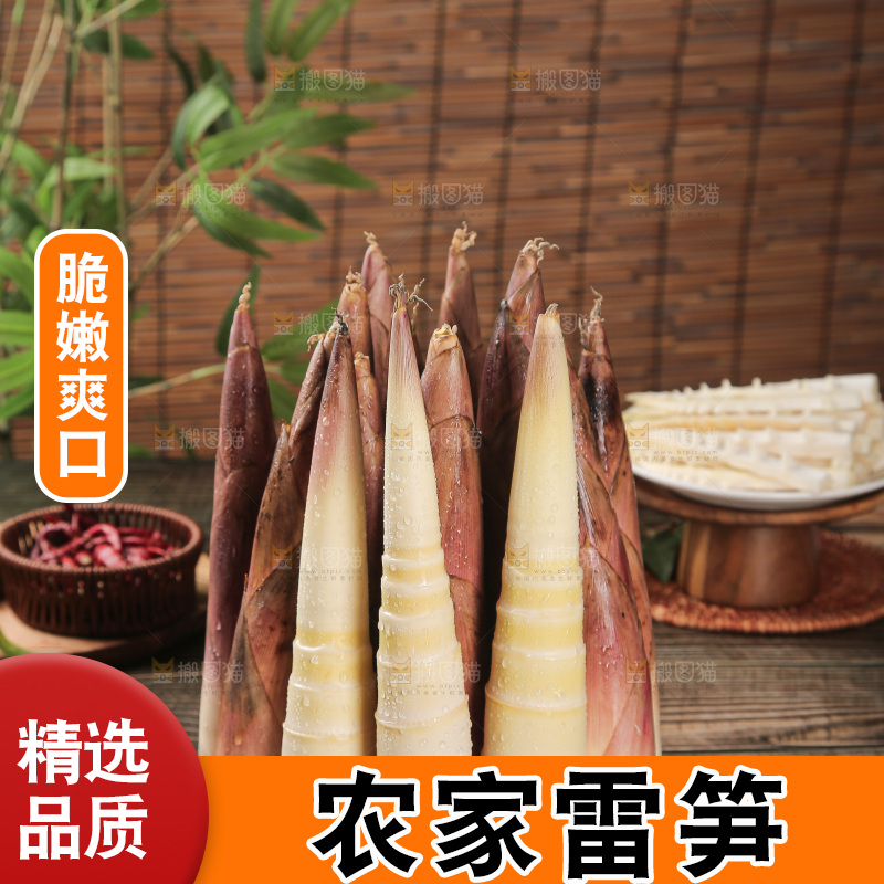 深底的雷竹笋