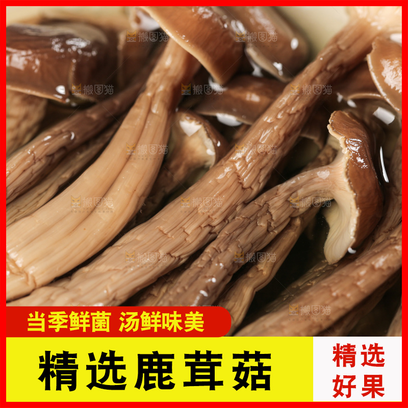 深底上的鹿茸菇
