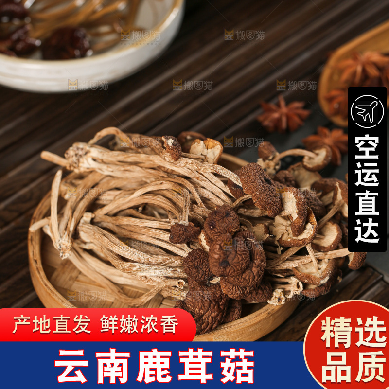 深底上的鹿茸菇