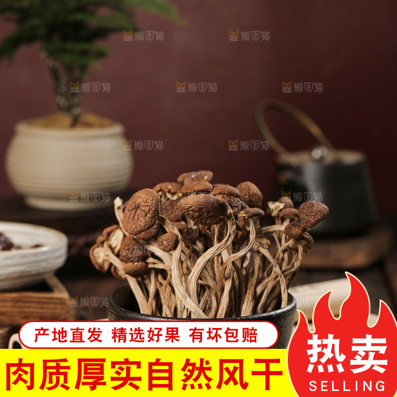 深底上的鹿茸菇
