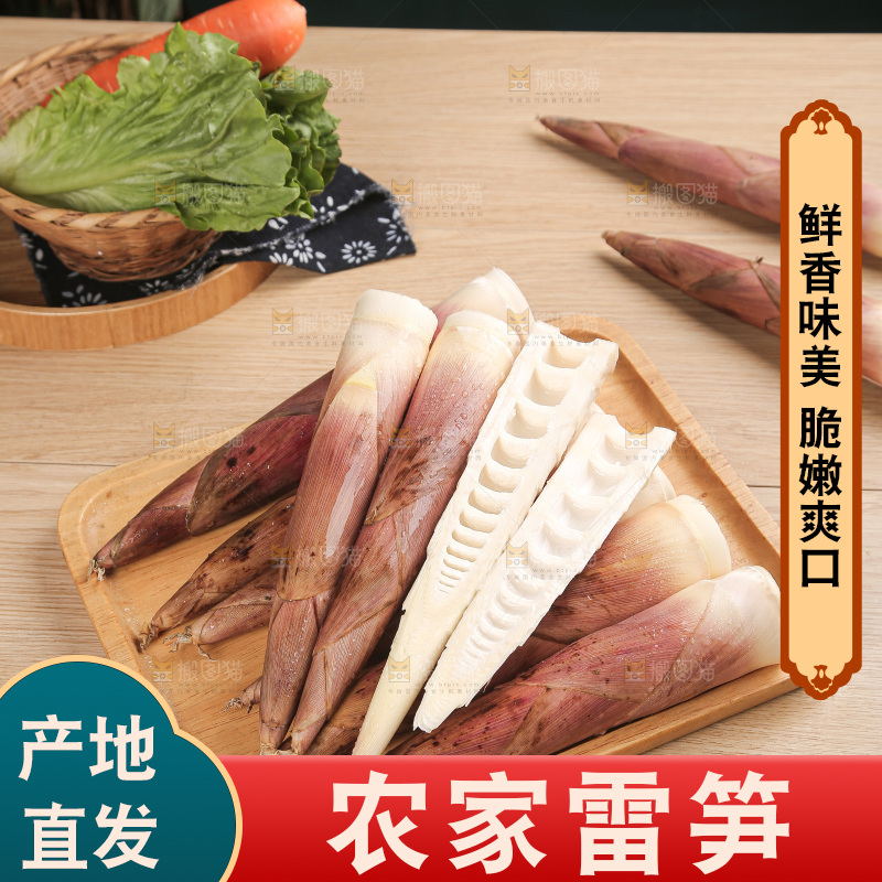 深底的雷竹笋