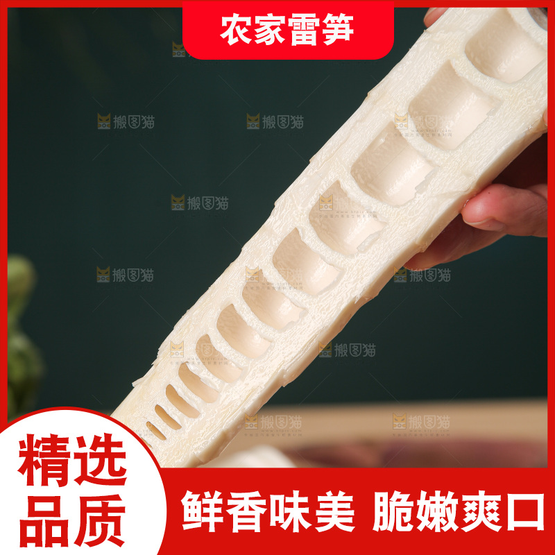 深底的雷竹笋