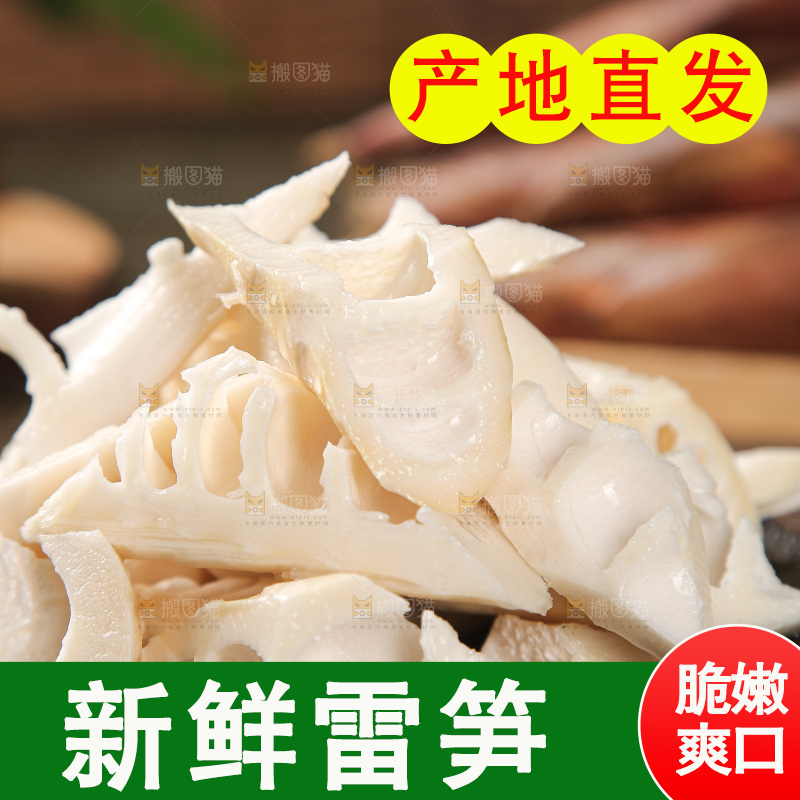 深底的雷竹笋