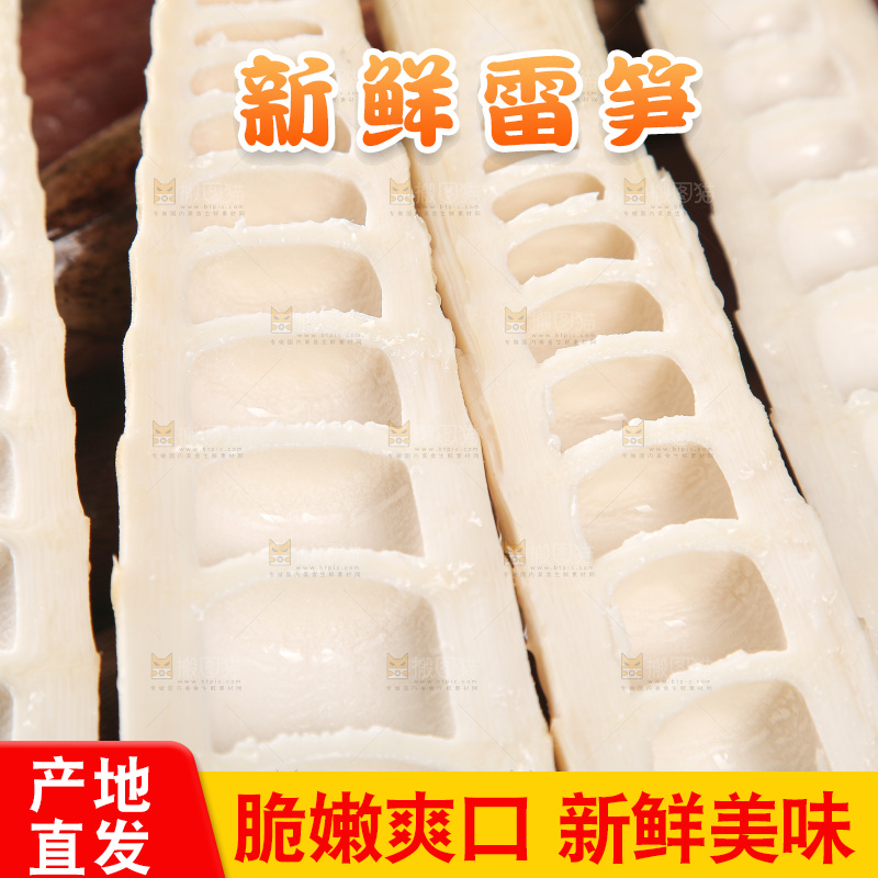深底的雷竹笋