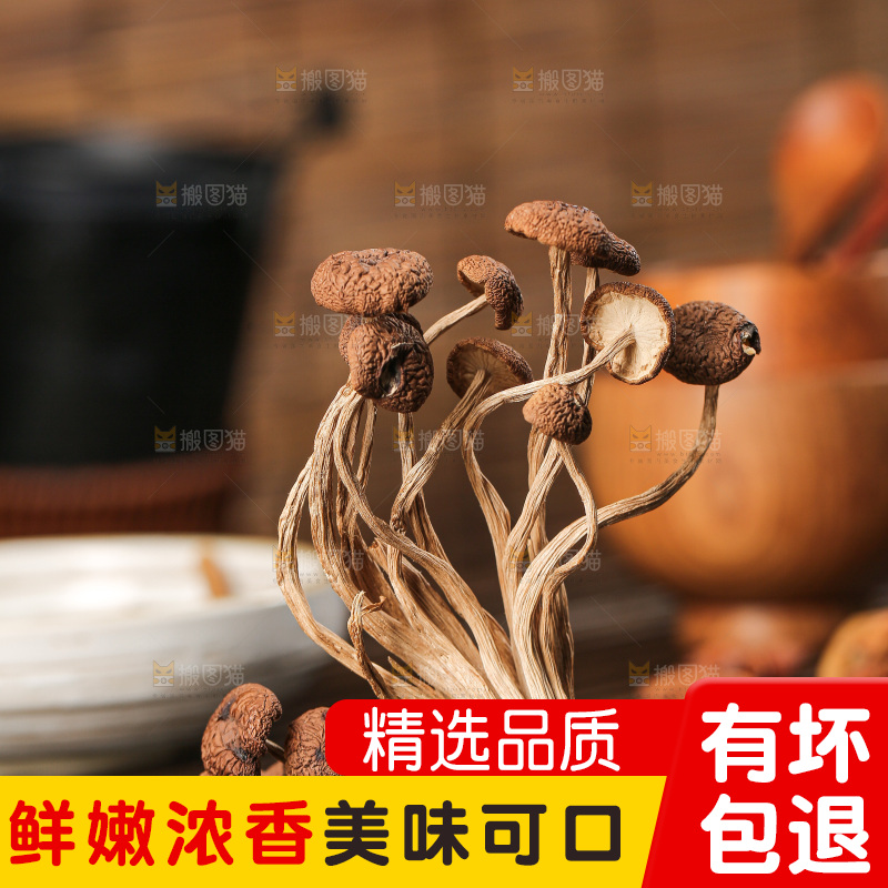 深底上的鹿茸菇