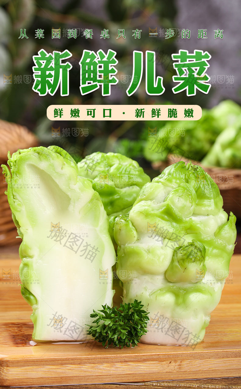 新鲜儿菜详情页