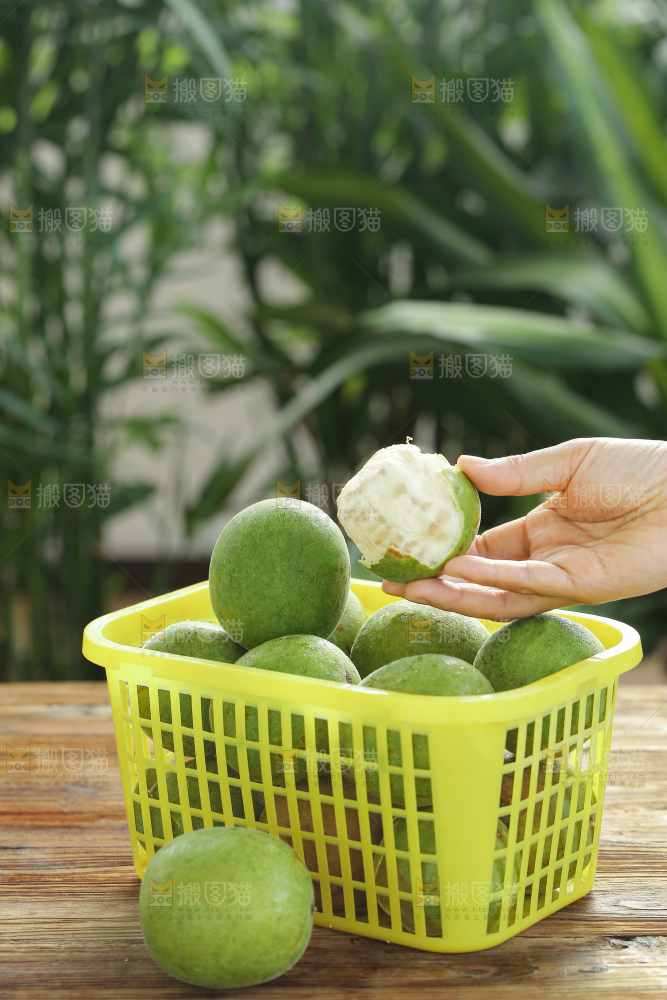 浅底上新鲜罗汉果