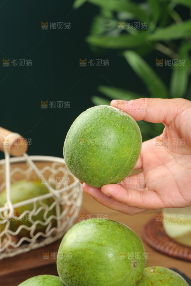 浅底上新鲜罗汉果