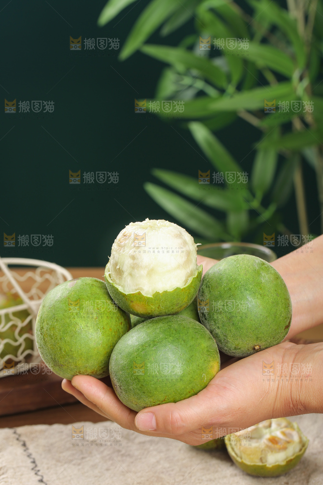 浅底上新鲜罗汉果