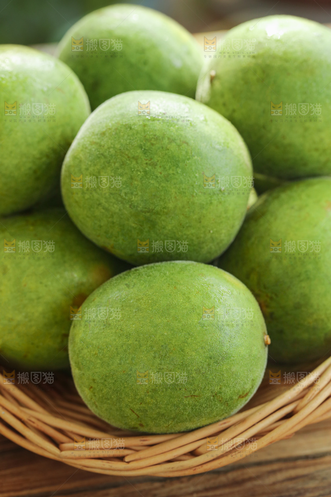 浅底上新鲜罗汉果