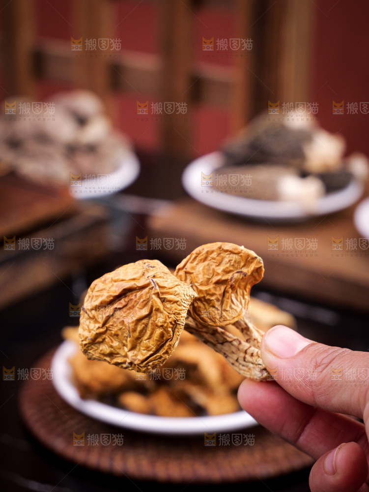 深底上的姬松茸