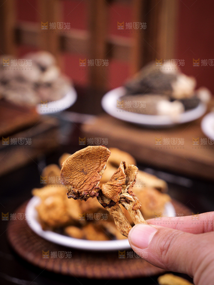 深底上的姬松茸