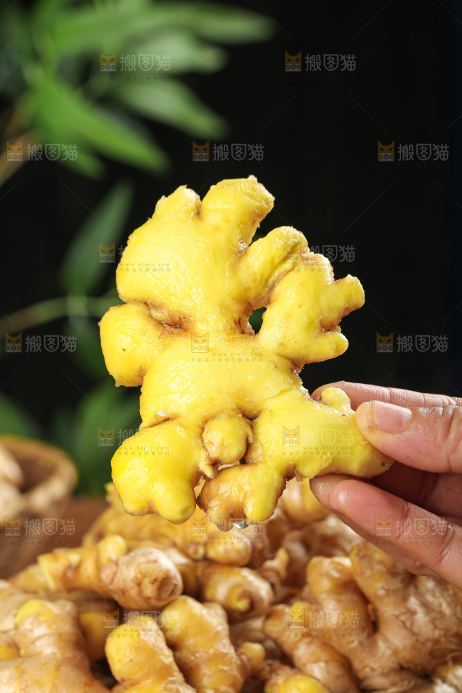 深底上的小黄姜