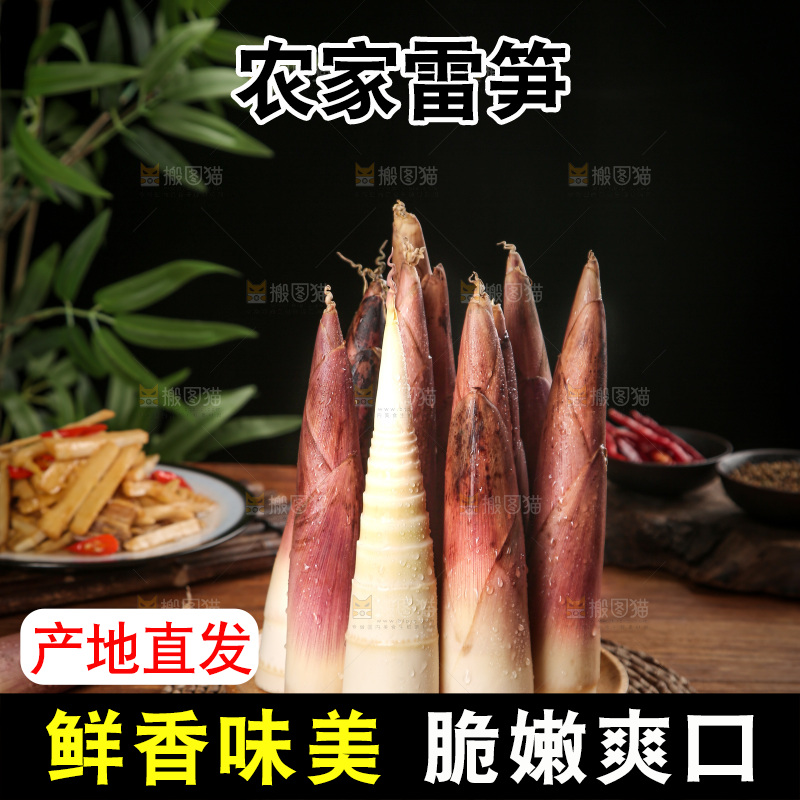 深底上的雷笋