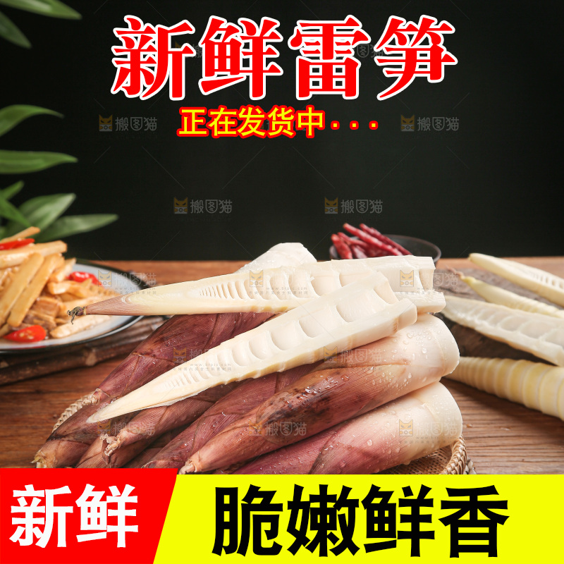 深底上的雷笋