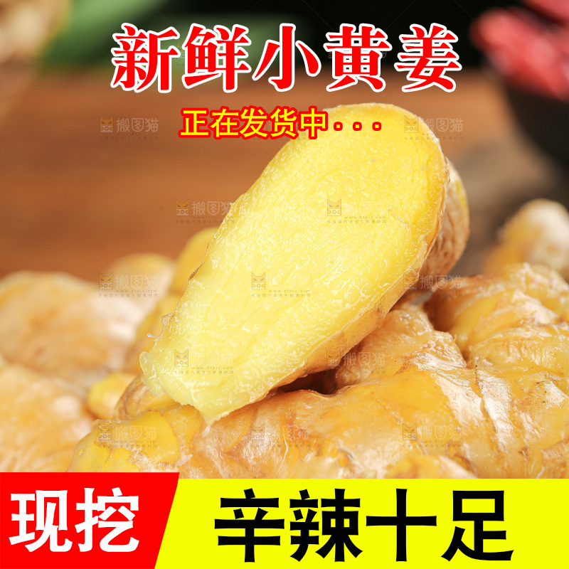 深底上的小黄姜