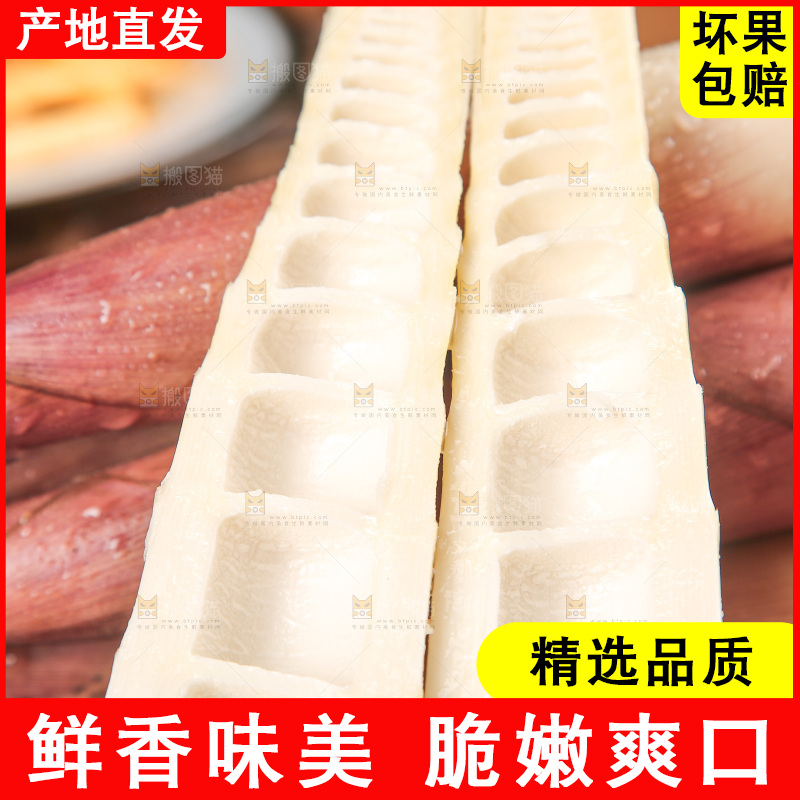深底上的雷笋