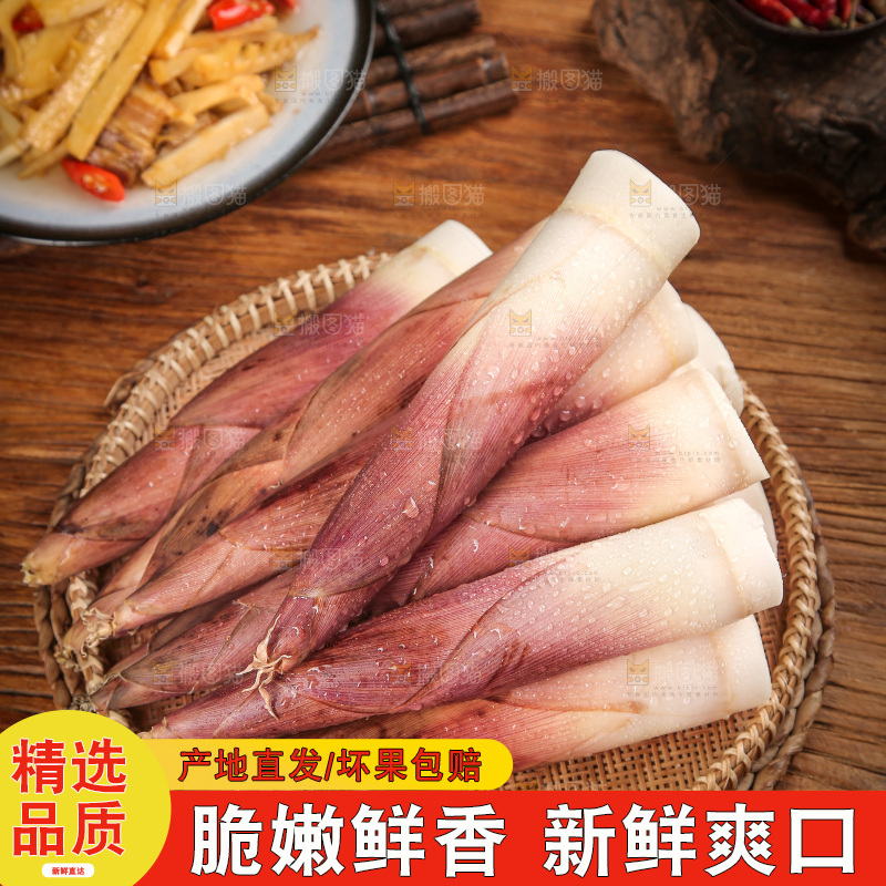 深底上的雷笋