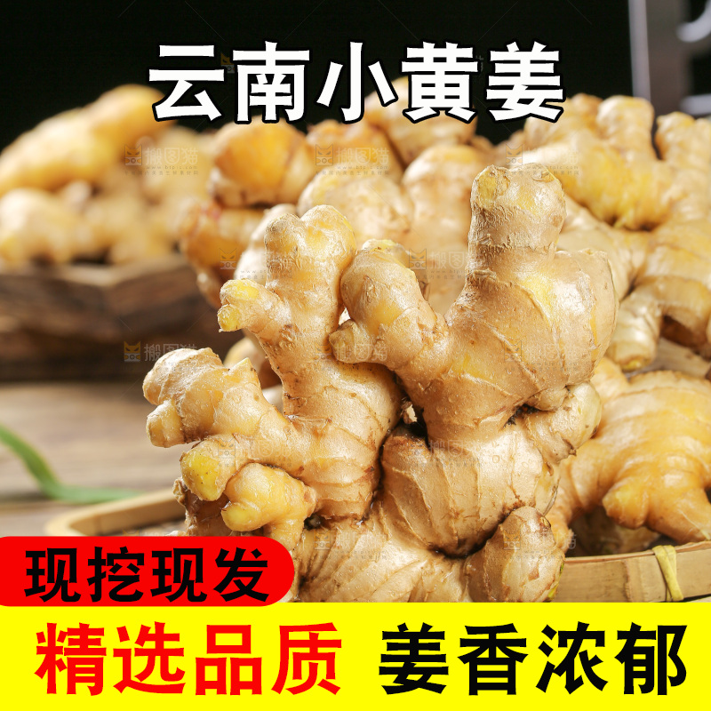 深底上的小黄姜