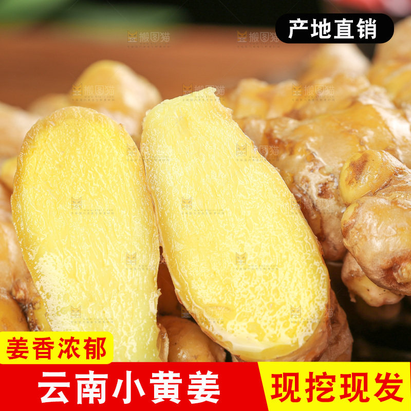 深底上的小黄姜