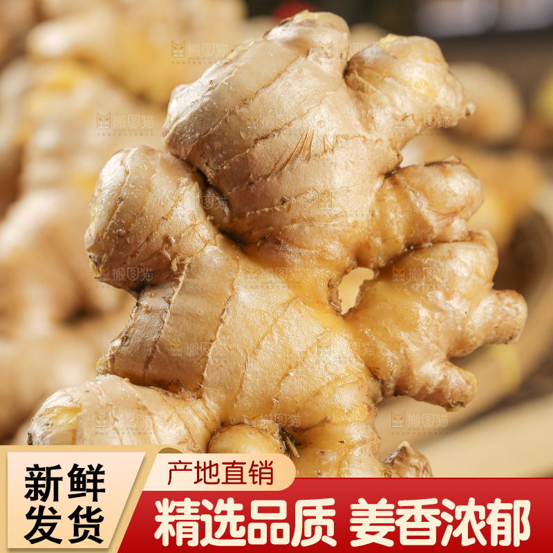 深底上的小黄姜
