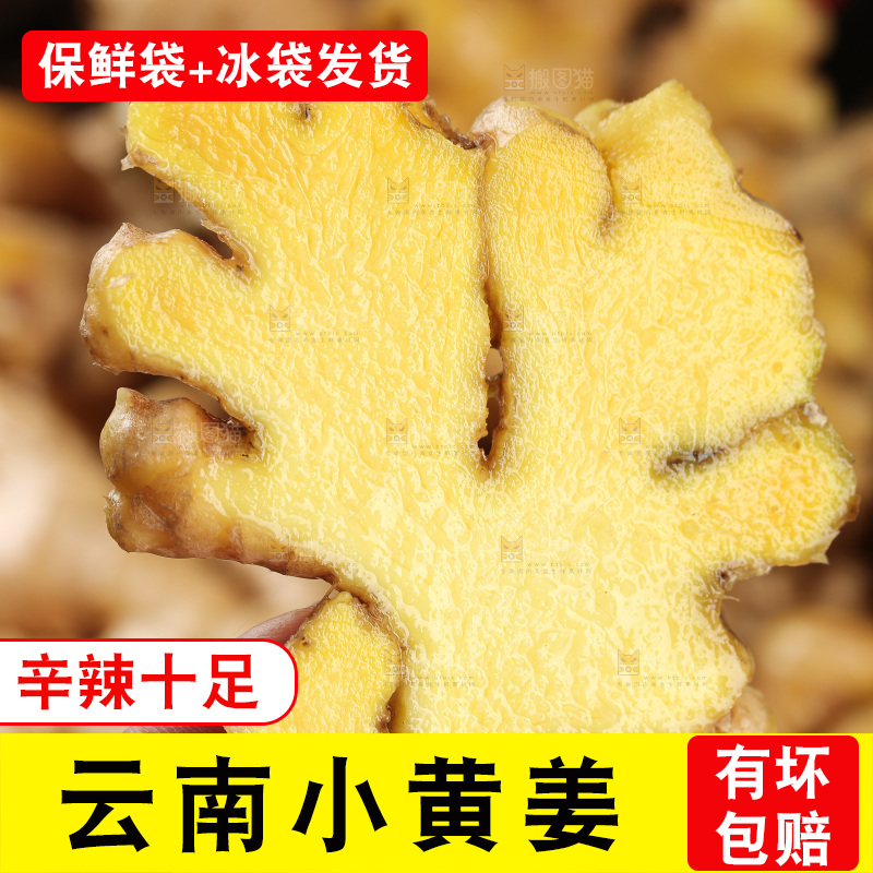 深底上的小黄姜