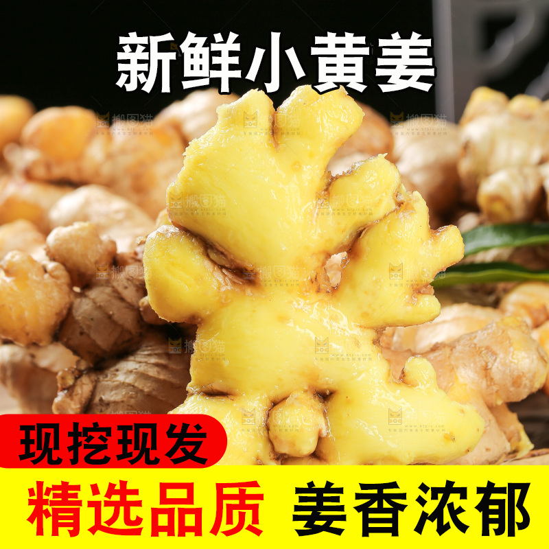 深底上的小黄姜