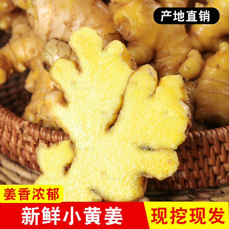 深底上的小黄姜