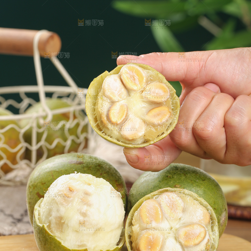 浅底上新鲜罗汉果