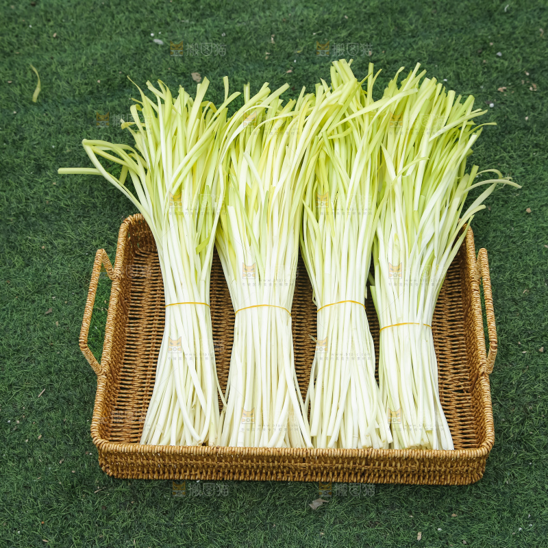 手上拿着新鲜韭黄
