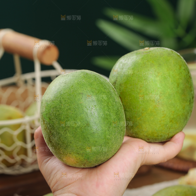 浅底上新鲜罗汉果
