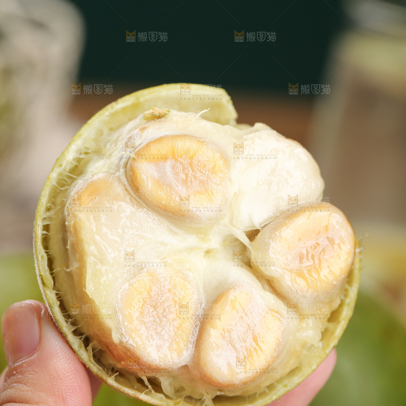 浅底上新鲜罗汉果