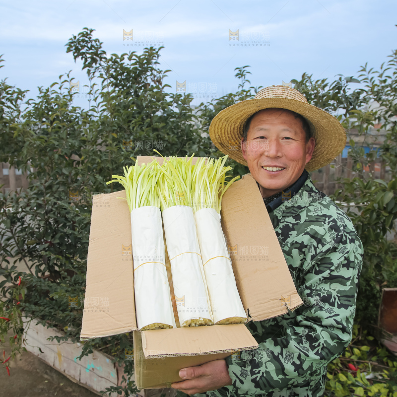 手上拿着新鲜韭黄