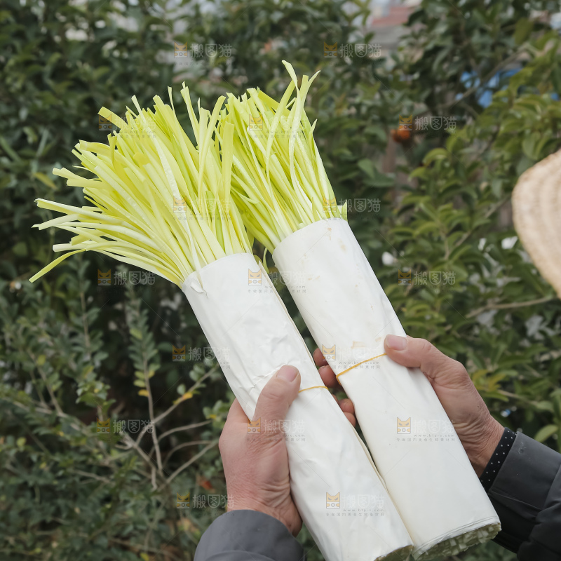 手上拿着新鲜韭黄