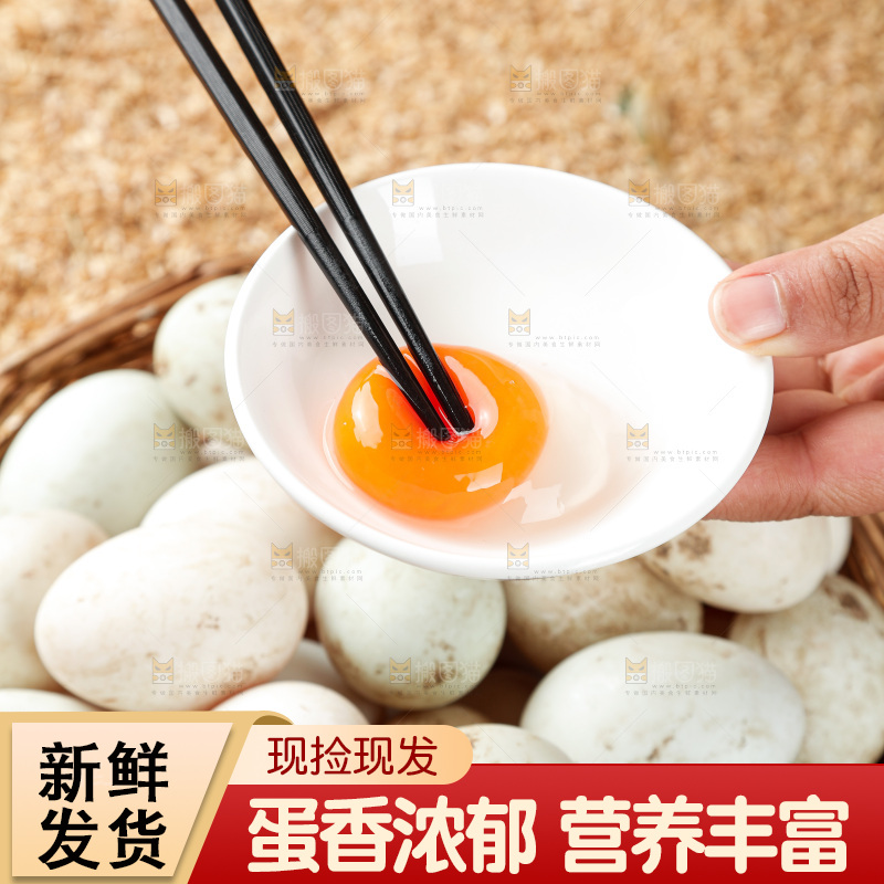 浅底上的鸭蛋