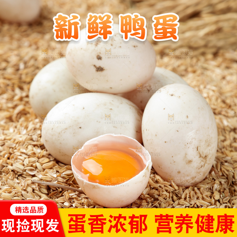 浅底上的鸭蛋