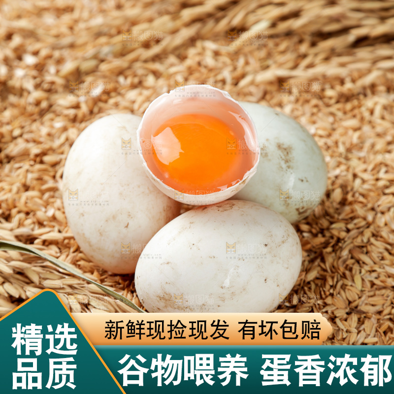 浅底上的鸭蛋