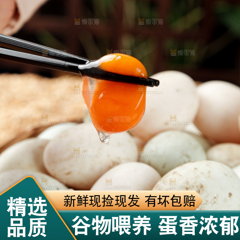 浅底上的鸭蛋
