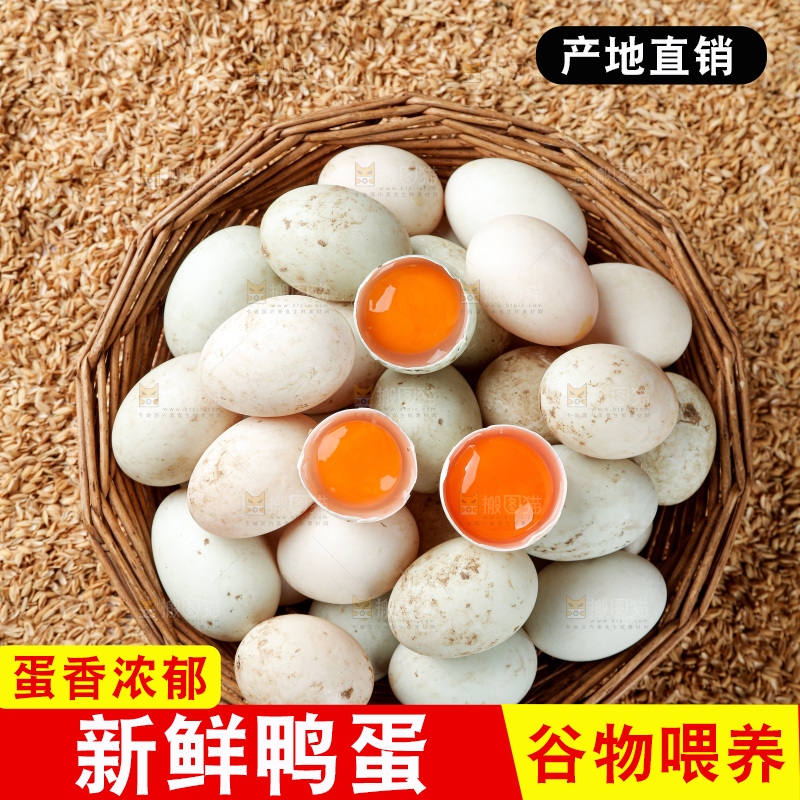 浅底上的鸭蛋
