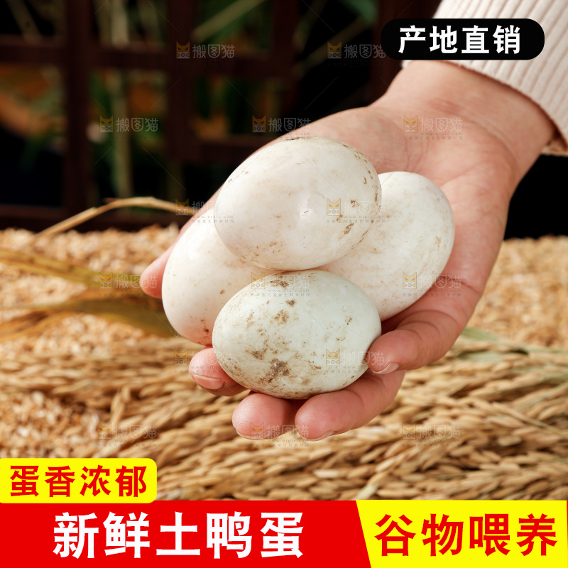 浅底上的鸭蛋